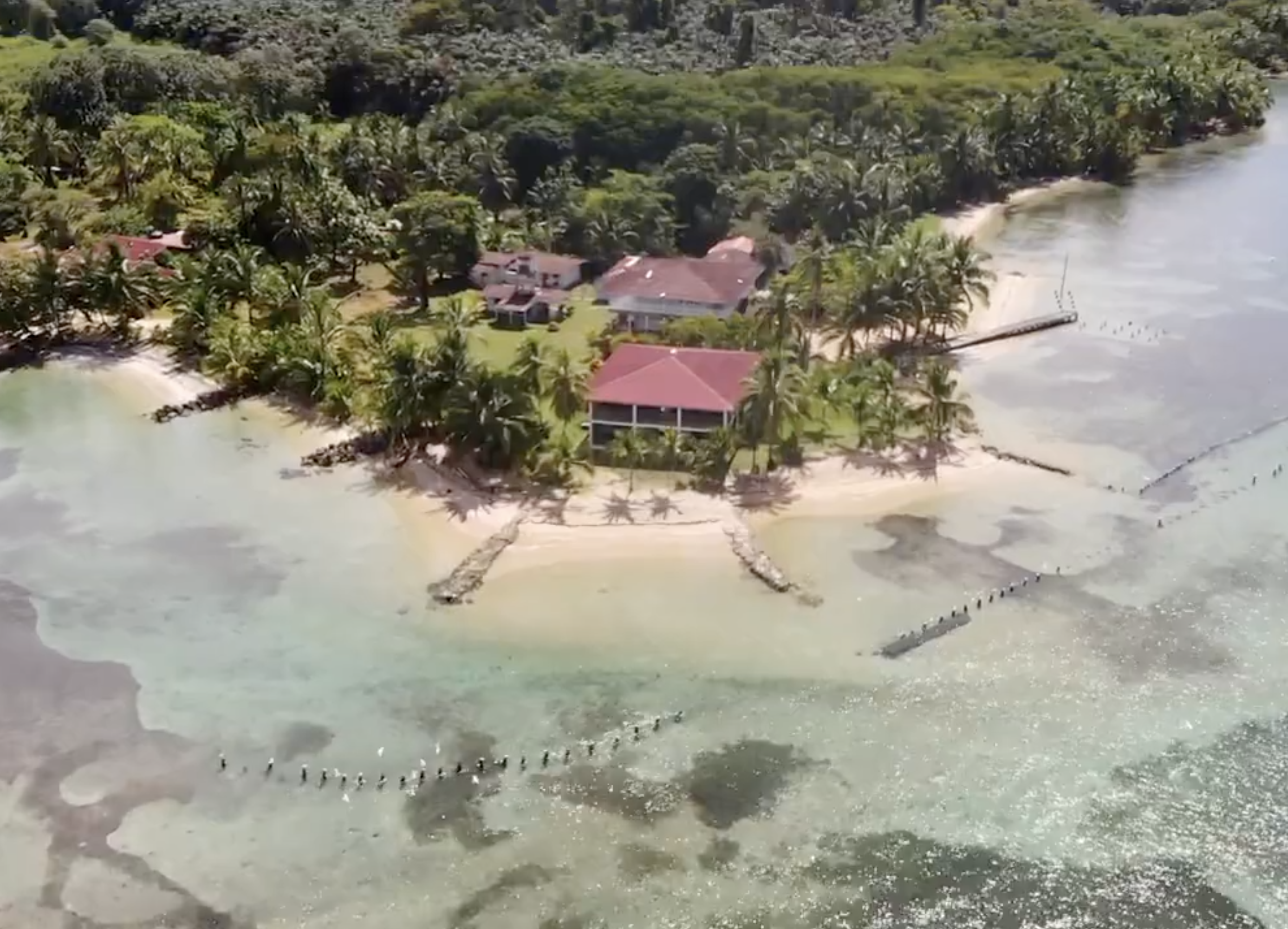 Captura de pantalla 2025-11-13 a la(s) 4.46.32 p.m..png